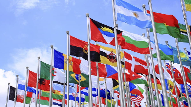 Understanding International Relations - Webinar by Anna Brjezovskaia