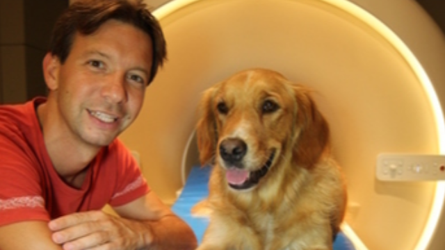 Attila Andics wins the grant of the European Research Council