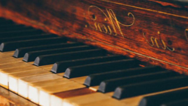 Lunchtime koncertek indulnak a Trefort-kertben