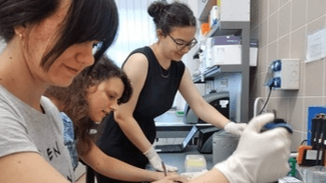 CANCER TREATMENT METHOD DEVELOPED BY ELTE STUDENTS WINS A GOLD MEDAL