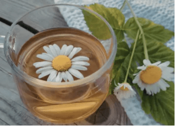 Beszámoló - Fókuszban a dráma-, mozgás és testtudat-alapú kutatások