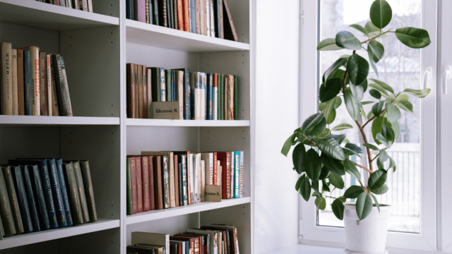 Alumni könyvespolc - 2016-tól napjainkig