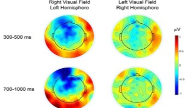 An Electrophysiological Abstractness Effect for Metaphorical Meaning Making