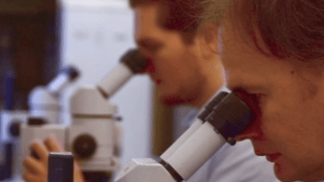 Our genes also tell about our age