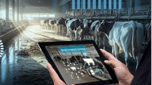 HOW CAN ARTIFICIAL INTELLIGENCE AID INDUSTRIAL ANIMAL HUSBANDRY?