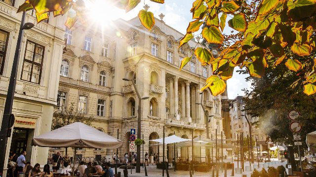 What to do this autumn in Budapest