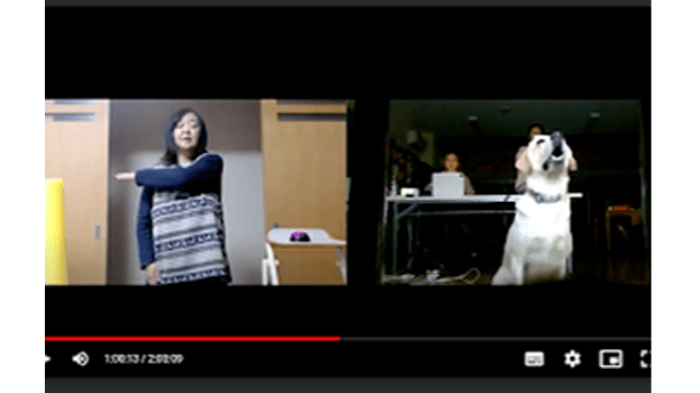 AN ONLINE MEETING WITH YOUR DOG?