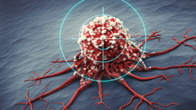 A GLOBALLY COMPETITIVE ANTICANCER ACTIVE AGENT DEVELOPED IN ELTE LABORATORY