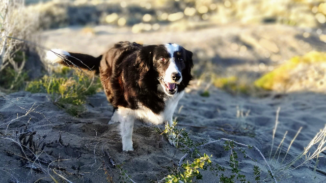 Different personality traits age differently