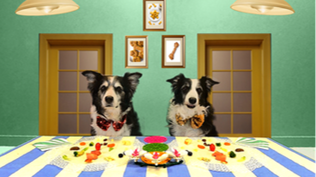 PICKIER DOGS HAVE PICKIER BRAINS