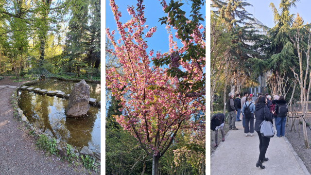 Egyetem megnyitja kapuit: Füvészkert 2026