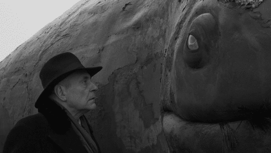 A kitömött bálnától az új angyalokig – Krasznahorkai László anantropológiájáról