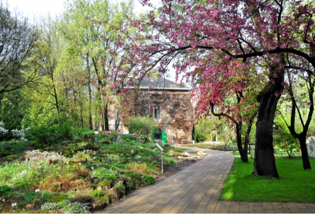 Séta a Füvészkertben