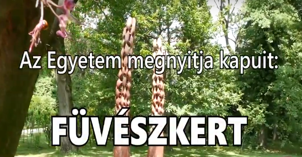 Az Egyetem megnyitja kapuit: Online Füvészkert!